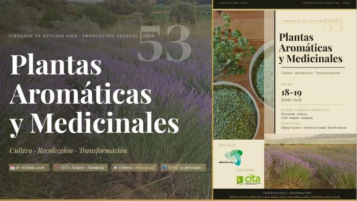 Esta formación forma parte de las Jornadas de Estudio de la AIDA y tendrán lugar el 18 y 19 de junio en la sede de Montañana