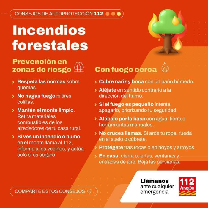 Consejos de autoprotección