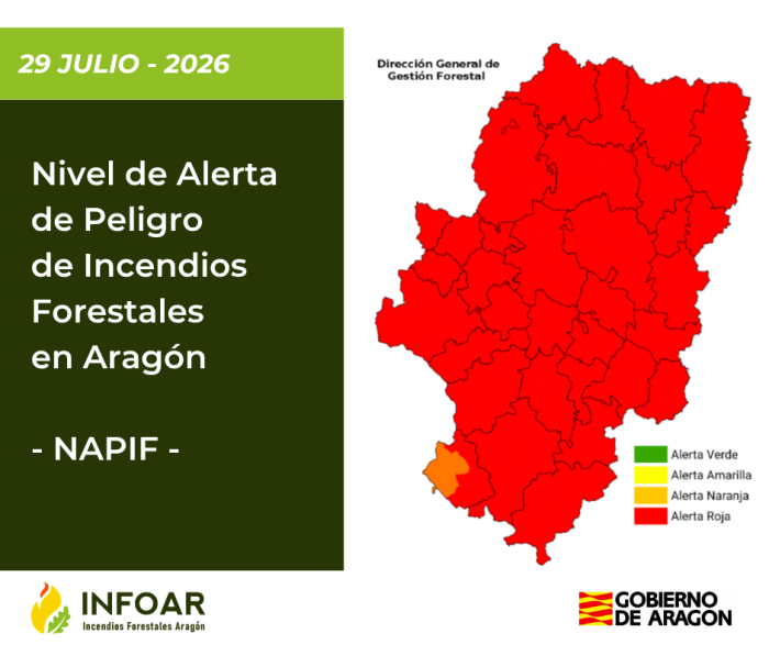 NAPIF 29 julio