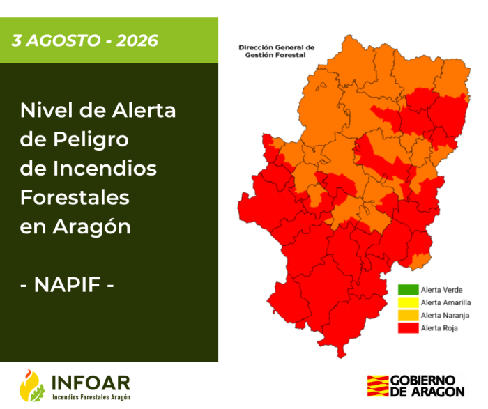 NAPIF 3 agosto