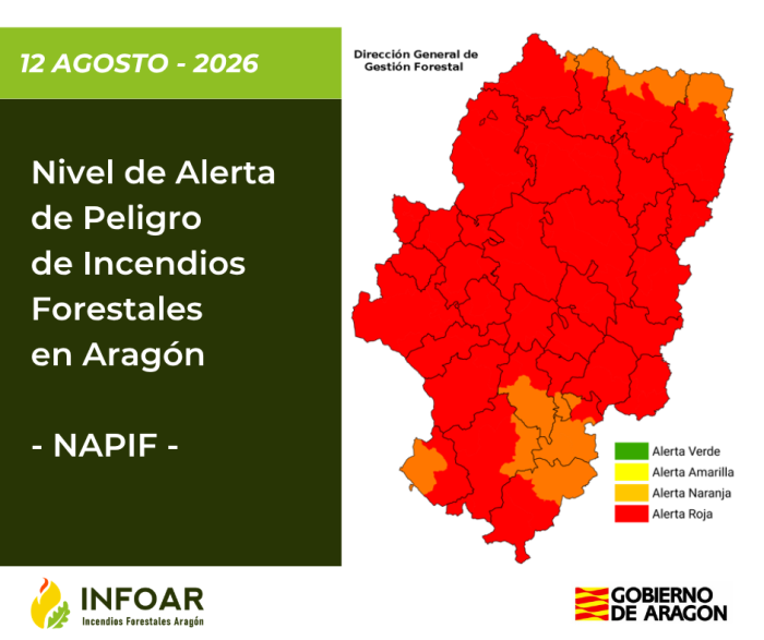 NAPIF 13 agosto