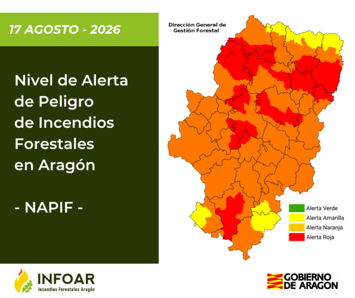 NAPIF 17 agosto