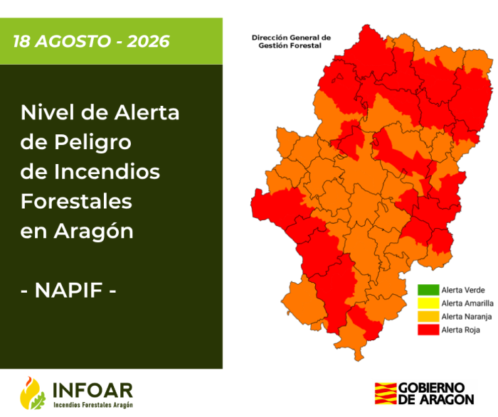 NAPIF 18 agosto