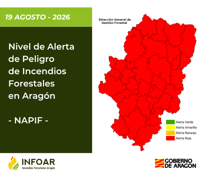 NAPIF 19 agosto