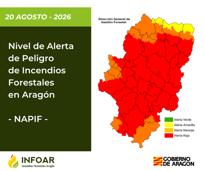 NAPIF 20 agosto