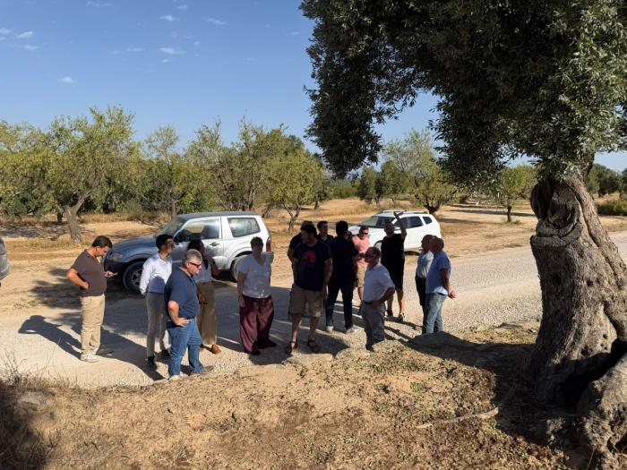La consejera de Agricultura, Ganadería y Alimentación, Arancha Simón, durante su visita a explotaciones afectadas por el granizo en el Bajo Aragón.