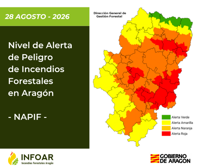 NAPIF 28 agosto