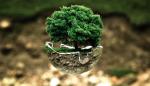 Convocado el Premio Aragón Medio Ambiente 2022