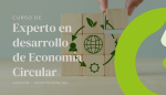 Curso de Experto en Economía Circular