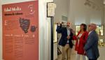 Capitel islámico donado al Museo de Huesca