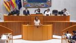 La consejera Susín ha comparecido en el pleno de las Cortes para hablar sobre discapacidad