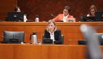 La directora general de Inclusión Social y Voluntariado, María Charte, ha comparecido en las Cortes este martes