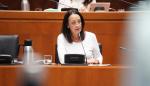 Susín, en la comparecencia sobre Presupuestos en la comisión de Hacienda