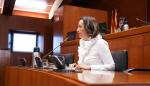 La consejera de Bienestar Social y Familia ha comparecido este martes en la comisión de las Cortes