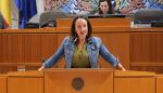 La consejera Susín ha respondido en el pleno de las Cortes sobre políticas de discapacidad