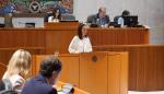 La consejera Susín, en su intervención en las Cortes sobre atención temprana