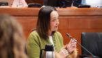 Este martes ha comparecido la consejera Susín ante la comisión de Bienestar Social y Familia
