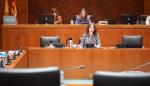 Carmen Herrarte ha explicado en las Cortes de Aragón las líneas generales de trabajo de su dirección general