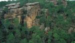 El Servicio Provincial de Medio Ambiente de Teruel trabaja en las 1.870 hectáreas afectadas en la Sierra de Albarracín por las nevadas