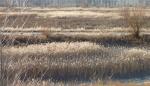 Comienza el proceso participativo para la Laguna del Cañizar en Cella 