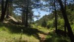 Conferencia sobre “Baños de Bosque: nuevo producto turístico terapéutico internacional”