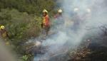 La Dirección General de Gestión Forestal recuerda extremar las precauciones ante el riesgo de incendios forestales