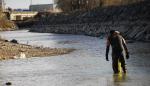 El Gobierno de Aragón continúa con el rescate, traslado y seguimiento de la almeja Margaritifera auricularia del Canal Imperial de Aragón al río Ebro