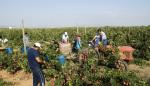 Economía financia el acondicionamiento de alojamientos para trabajadores temporales del sector agropecuario