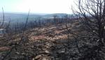 Controlados los incendios de Alcañiz y Bierge