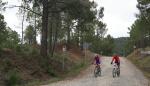 Pinares de Rodeno y Laguna de Gallocanta, a golpe de pedal 