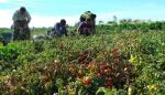 La ecología, el medio ambiente y el arte se unen en el espacio del CDAN 