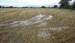 Mejorar las prácticas agrícolas y tratar las aguas, la mejor solución para controlar los nitratos en el agua potable