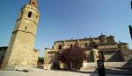 El Inaga autoriza retirar dos de los seis nidos de cigüeña de la torre de la catedral de Barbastro