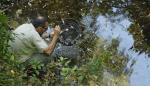 Medio Ambiente intensifica los trabajos para salvar la última población de cangrejo autóctono 