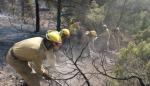 Gestión Forestal llama de nuevo a la prevención por el alto nivel de riesgo de incendios en la comunidad 