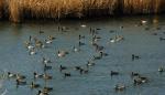 Futuro prometedor para las Reservas Naturales Protegidas en Aragón