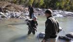 Rescate de truchas aisladas en el río Aragón a su paso por Castiello de Jaca