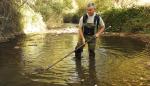 Técnicos de Medio Ambiente rescatan peces en el río Huerva