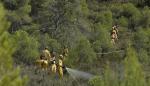 El simulacro de un incendio forestal en Nonaspe pone a prueba la coordinación de los dispositivos de extinción catalanes y aragoneses