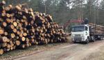 El Gobierno de Aragón retoma la Mesa de la Madera