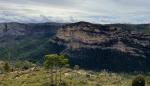 El Servicio Provincial de Agricultura, Ganadería y Medio Ambiente de Teruel ultima los trámites de aprobación de los Planes de Gestión Forestal de los montes de Aliaga 