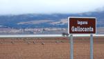 Regresan las rutas guiadas para observar las grullas en Gallocanta tras el éxito de participación en otoño