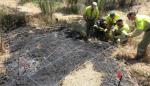 El 78% de las causas de los incendios forestales en Aragón se deben a acciones humanas