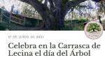 "Celebrando a los árboles", una cita en la carrasca milenaria de Lecina