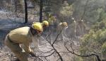 Más de 2000 personas participan en las tareas de extinción de los siete incendios que permanecen activos en la comunidad 