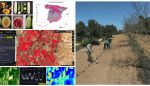 El proyecto persigue buscar y proponer estrategias alternativas de producción agraria dirigidas a reducir insumos y optimizar el manejo de los cultivos.