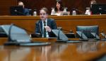 Roberto Bermúdez de Castro durante su comparecencia en las Cortes de Aragón