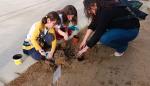 Los niños del colegio Vadorrey, plantando árboles.