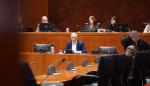 Manuel Magdaleno, durante su intervención en las Cortes este martes