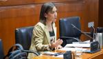 Ana Gómez, Interventora General, durante su comparecencia en la Comisión de Hacienda, Interior y Presupuestos del Gobierno de Aragón